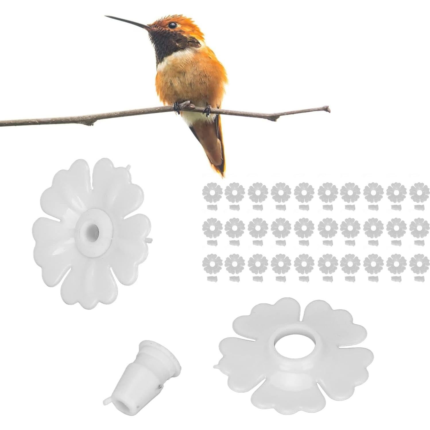 Set de 30 Piezas de Repuesto para Alimentador de Colibrí KooingTech