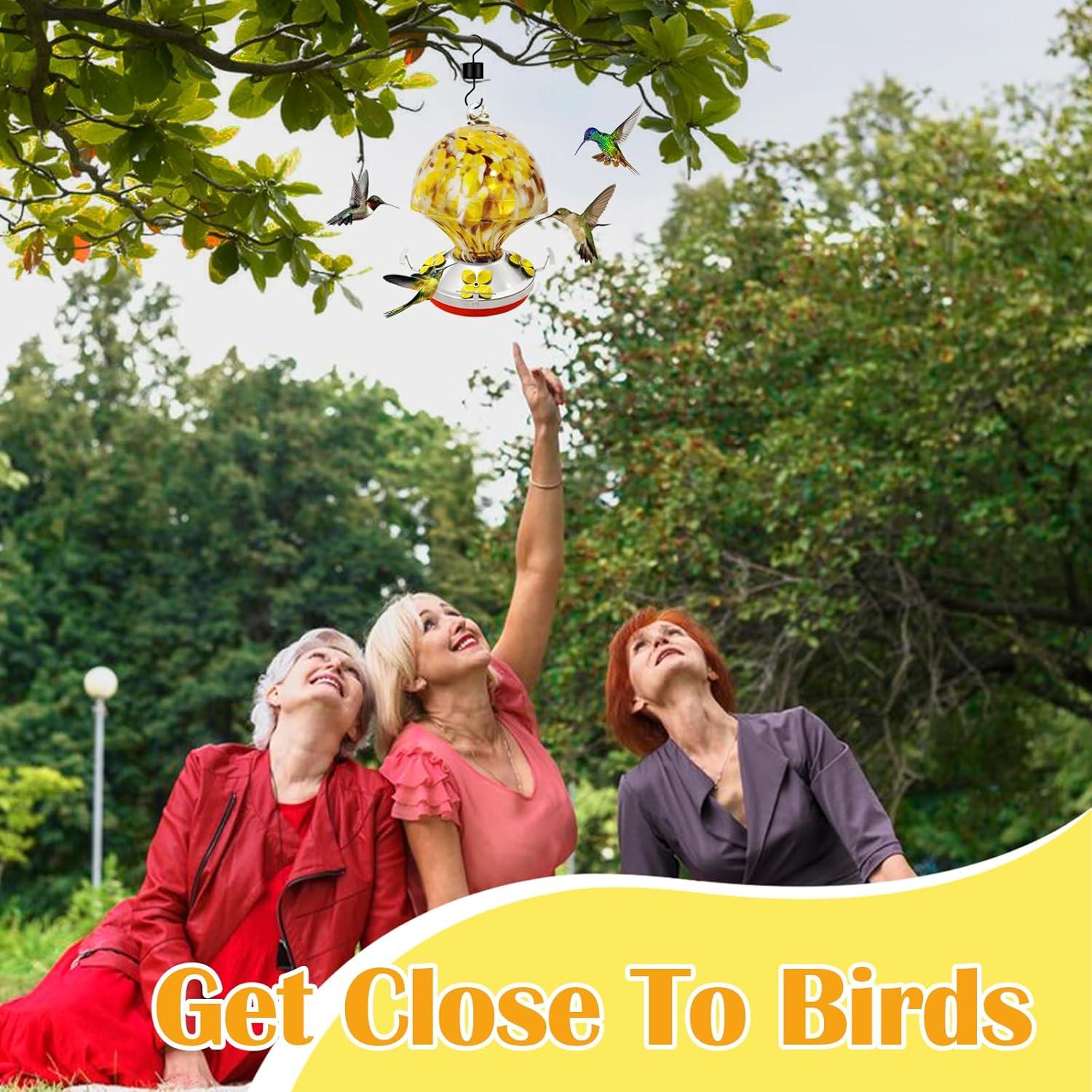 Alimentador de Colibrí Ruiyi Tim de Vidrio 750 ml con Trampa para Hormigas