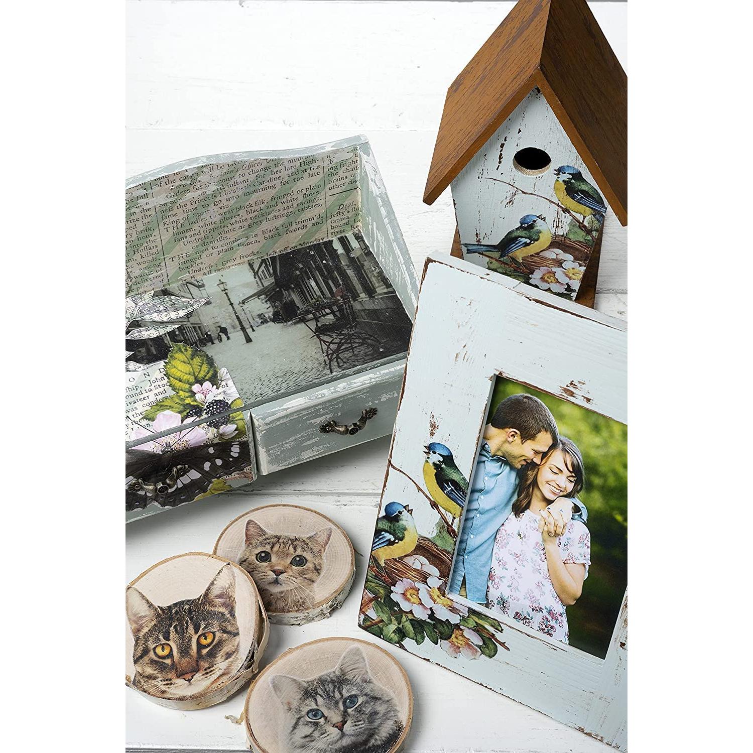 Mod Podge Transferencia de Fotos 226.8g + Kit Accesorios Pixiss