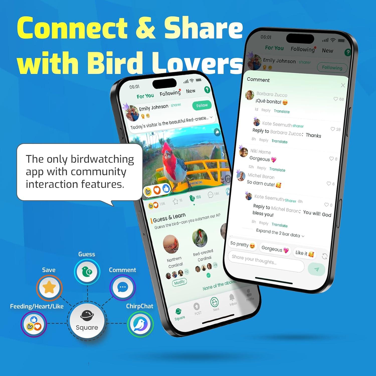 Alimentador de Colibríes HIXX con Cámara Solar 500ml