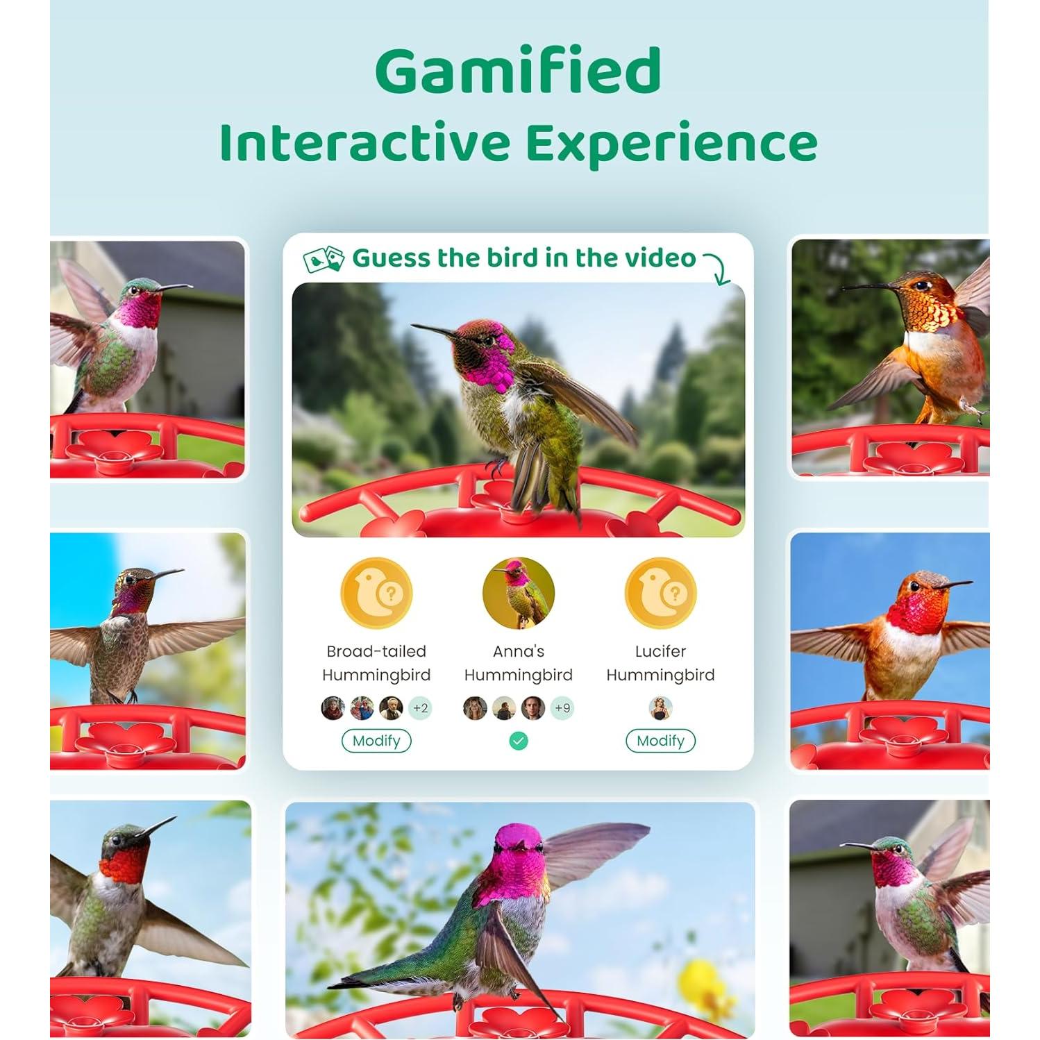 Alimentador de Colibríes HIXX con Cámara Solar 500ml