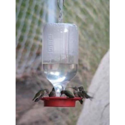 Fondo de Reemplazo para Comedero de Colibríes Best-1