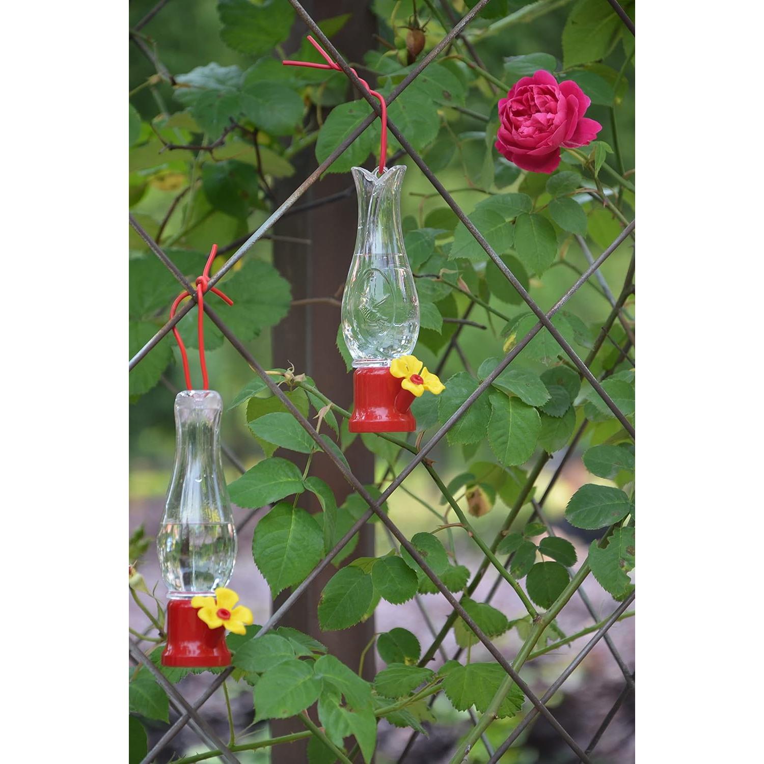 Alimentador de Colibrí VIMOA Tulipán Pack de 4 68.1 ml