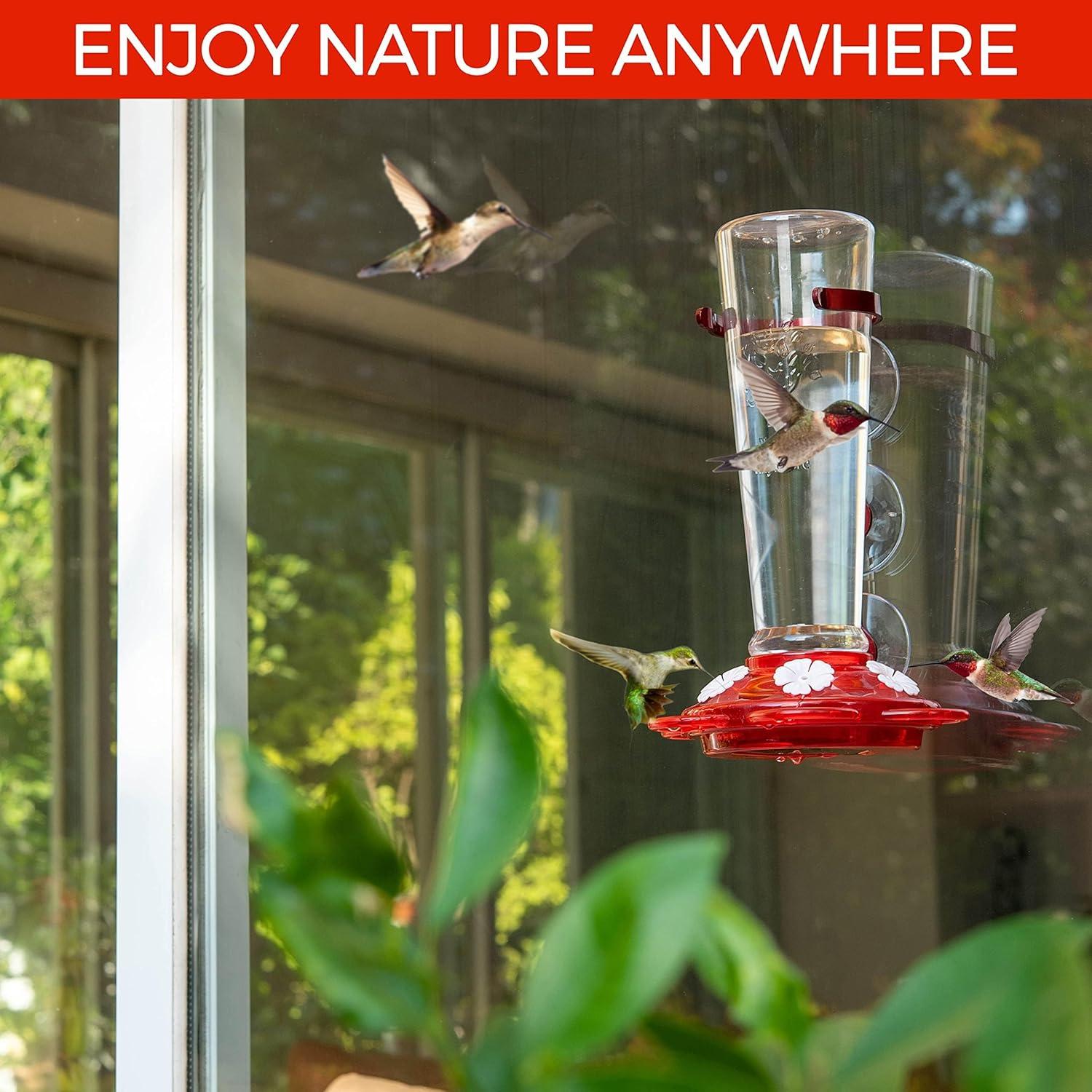 Alimentador de Colibríes Nature Anywhere 710 ml A Prueba de Fugas