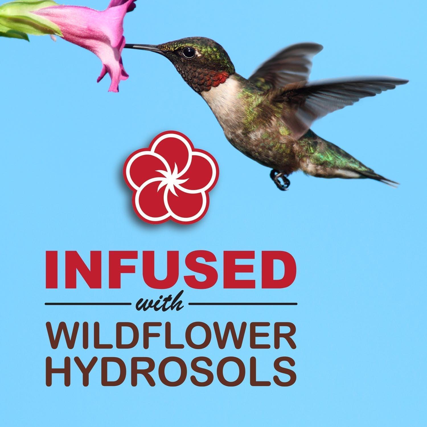Néctar para Colibríes Sweet-Seed 240g Polvo Instantáneo