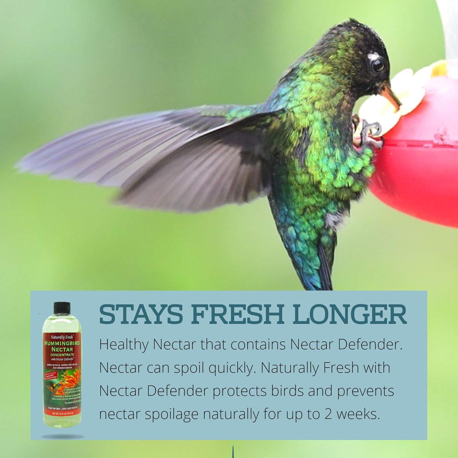 Néctar de Colibrí Naturally Fresh 1.89L con Nectar Defender