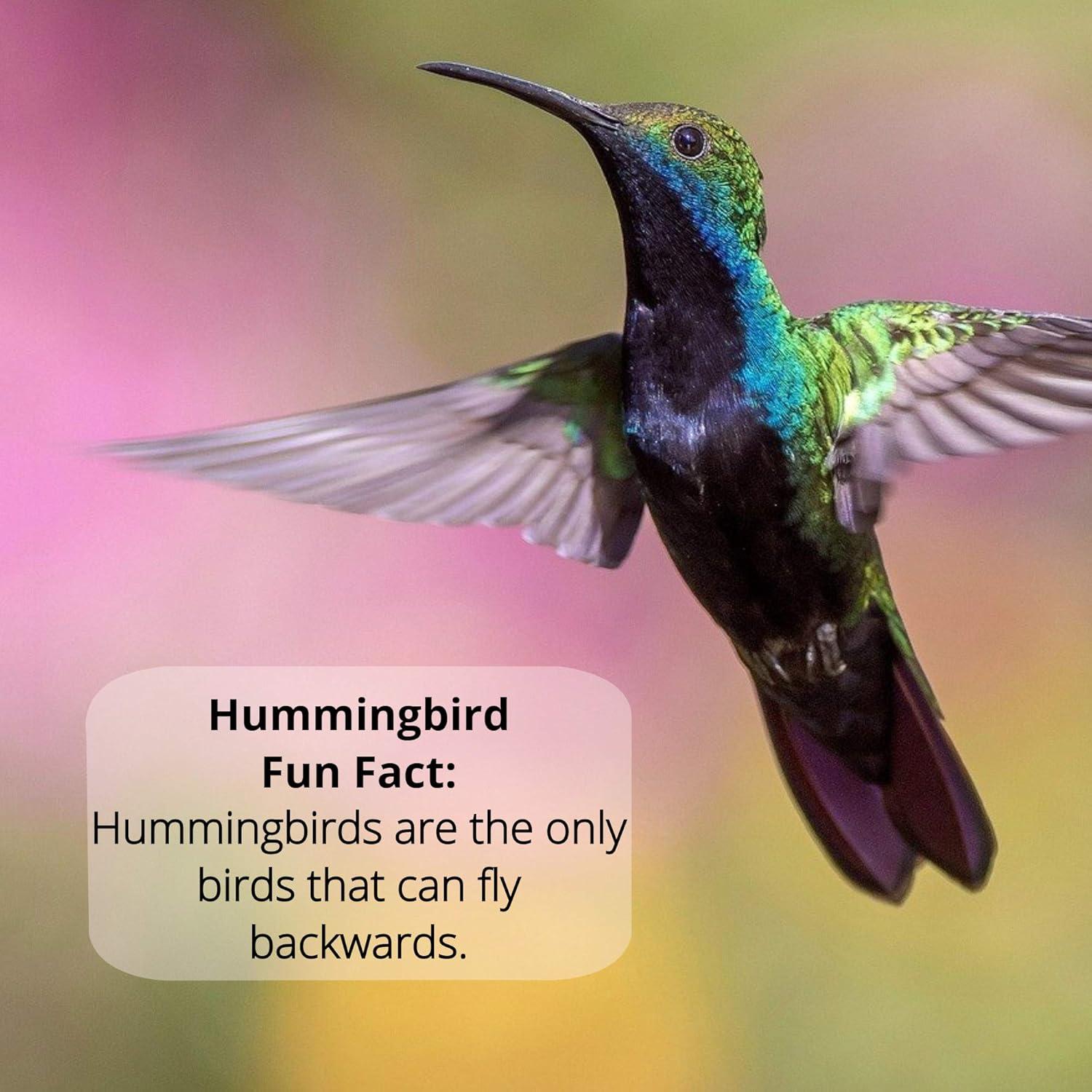 Néctar de Colibrí Naturally Fresh 1.89L con Nectar Defender