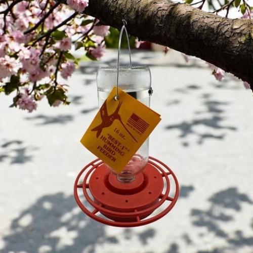 Alimentador de Colibríes Best-1 0.45L Vidrio Rojo 8 Puertos