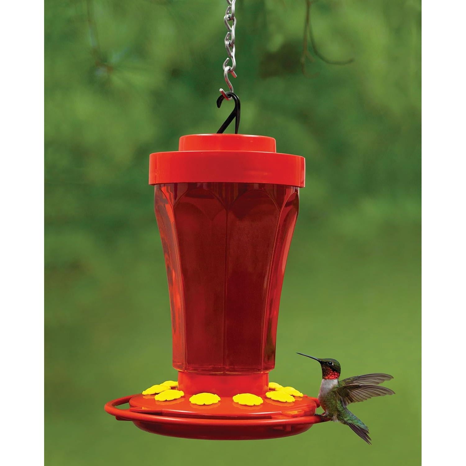 Alimentador de Colibrí Primera Naturaleza 3090 0.95L Rojo