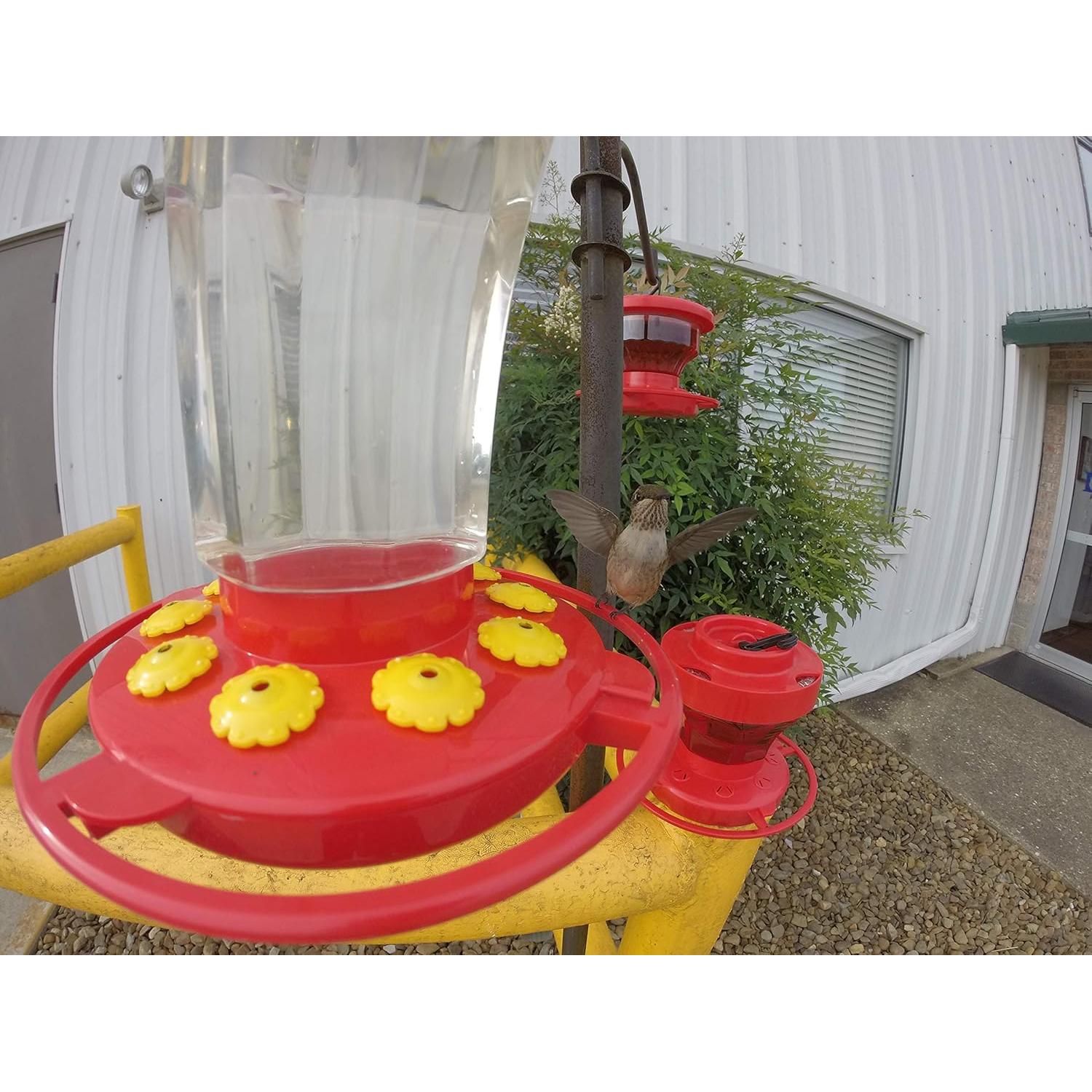 Alimentador de Colibrí Primera Naturaleza 3090 0.95L Rojo