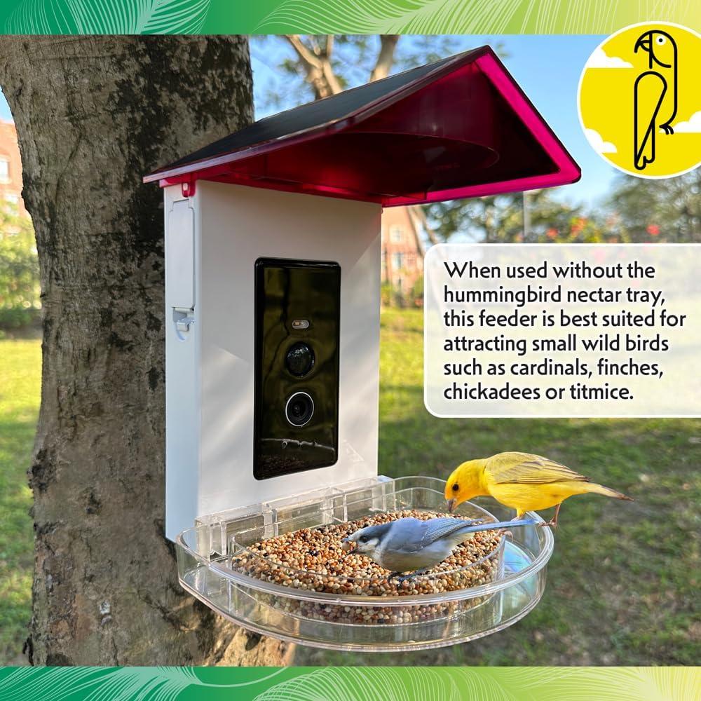 Comedero Inteligente para Colibríes Featherland Paradise