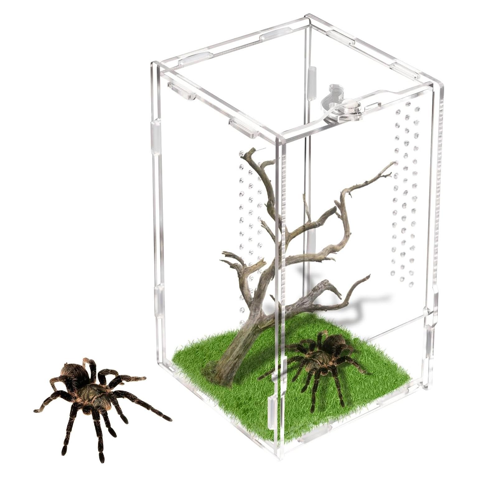 Terrario Acrílico Rislobx para Arañas Saltarinas 20.1x11.9x11.9 cm