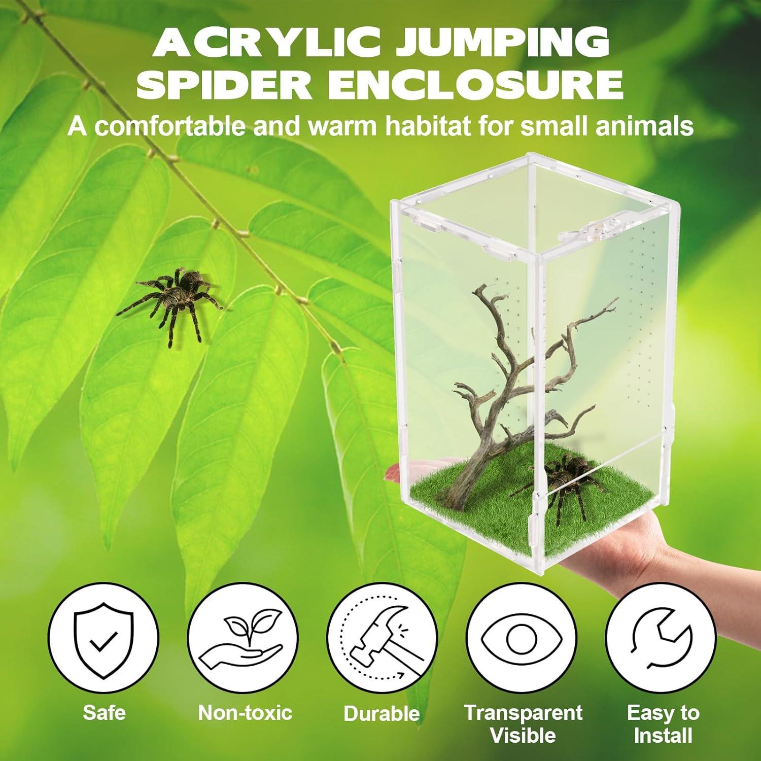 Terrario Acrílico Rislobx para Arañas Saltarinas 20.1x11.9x11.9 cm