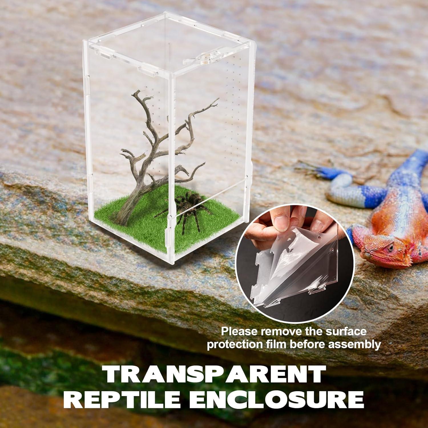 Terrario Acrílico Rislobx para Arañas Saltarinas 20.1x11.9x11.9 cm