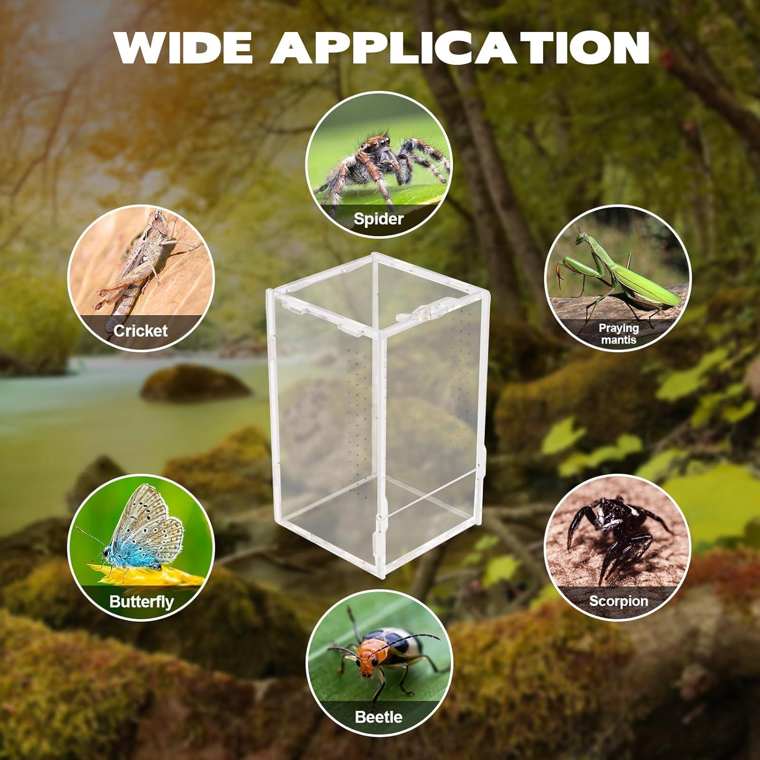 Terrario Acrílico Rislobx para Arañas Saltarinas 20.1x11.9x11.9 cm