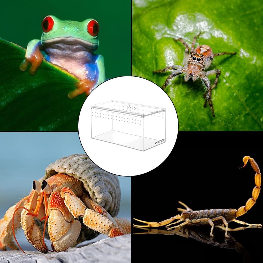 Recinto de Reptiles Acrílico NANEEZOO 20.32x10.16x10.16 cm