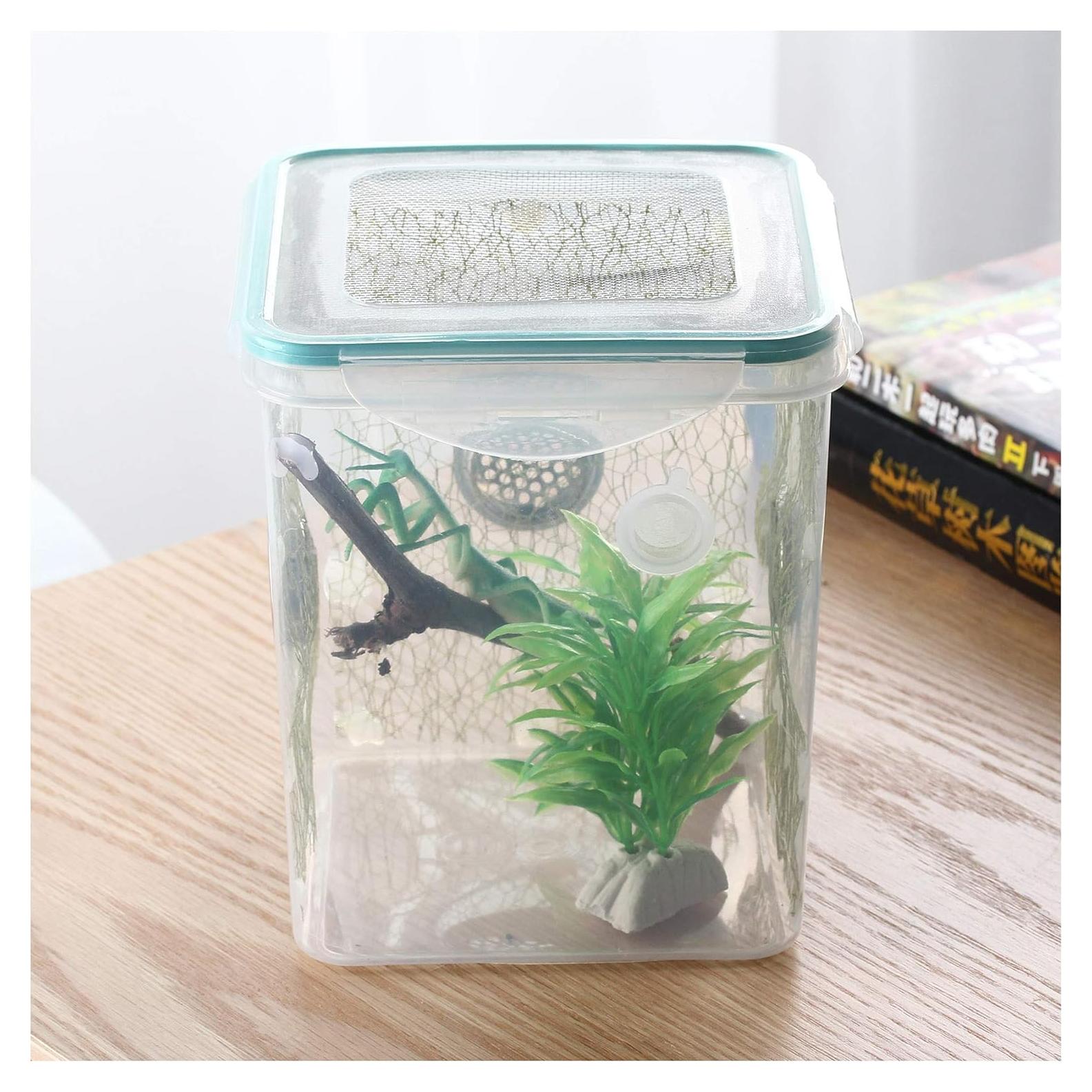 Jaula de Hábitat para Insectos Crapelles 15.7x15.7x17.8cm