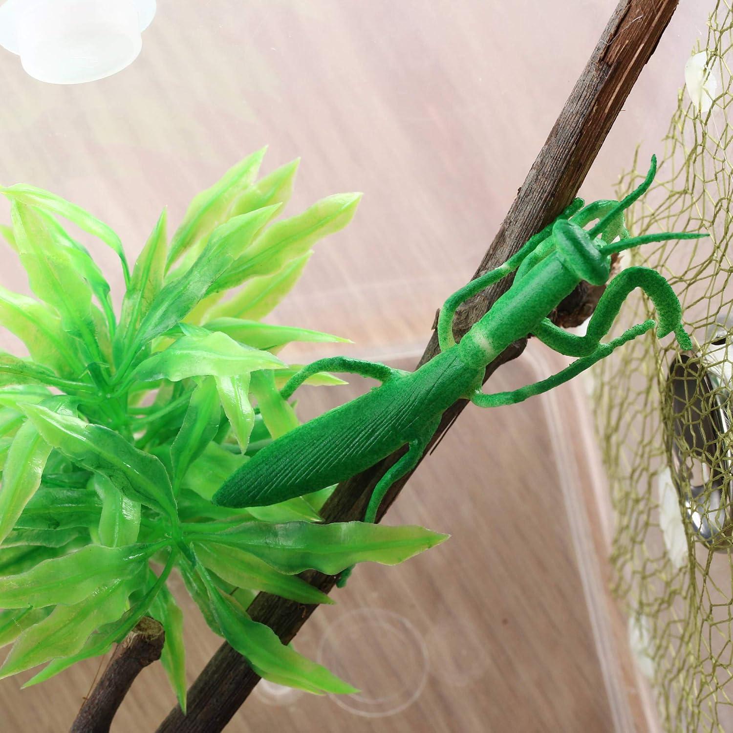 Jaula de Hábitat para Insectos Crapelles 15.7x15.7x17.8cm