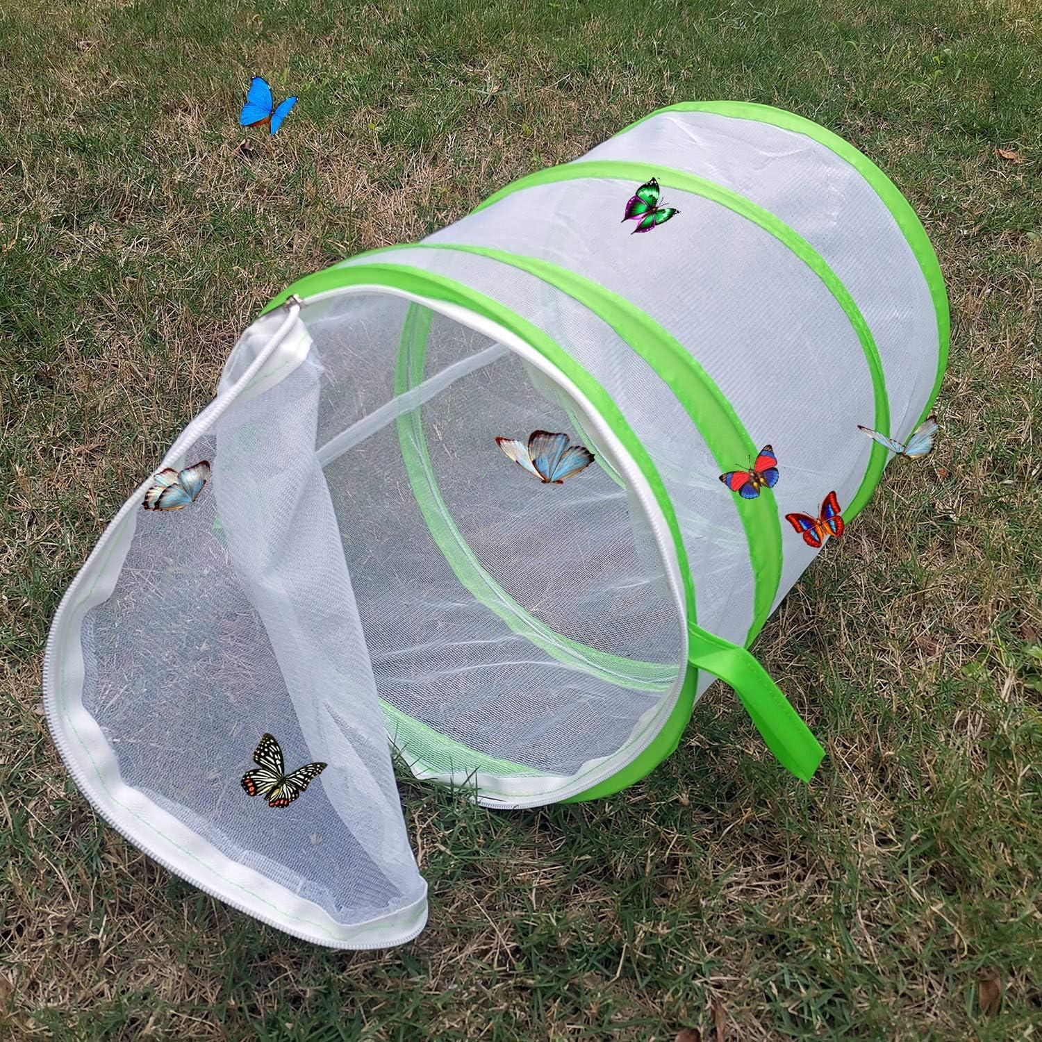 Cápsula de Hábitat para Mariposas Trasfit 30.48x35.56cm