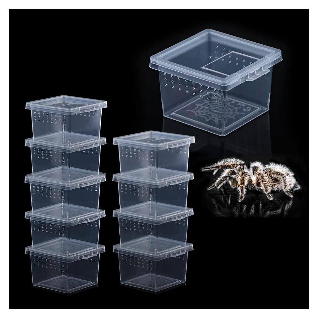 Caja de Cría para Insectos DQITJ 10 Unidades Acrílico 6.5cm