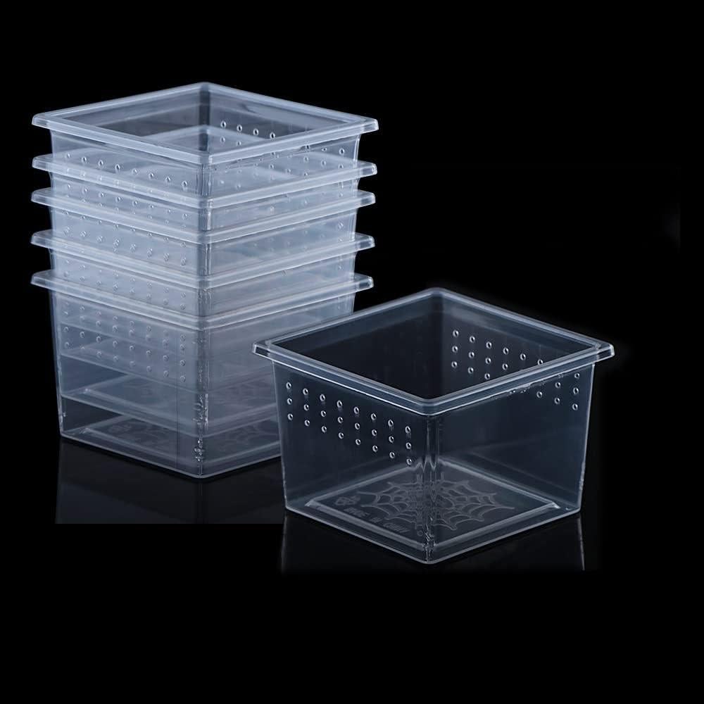Caja de Cría para Insectos DQITJ 10 Unidades Acrílico 6.5cm