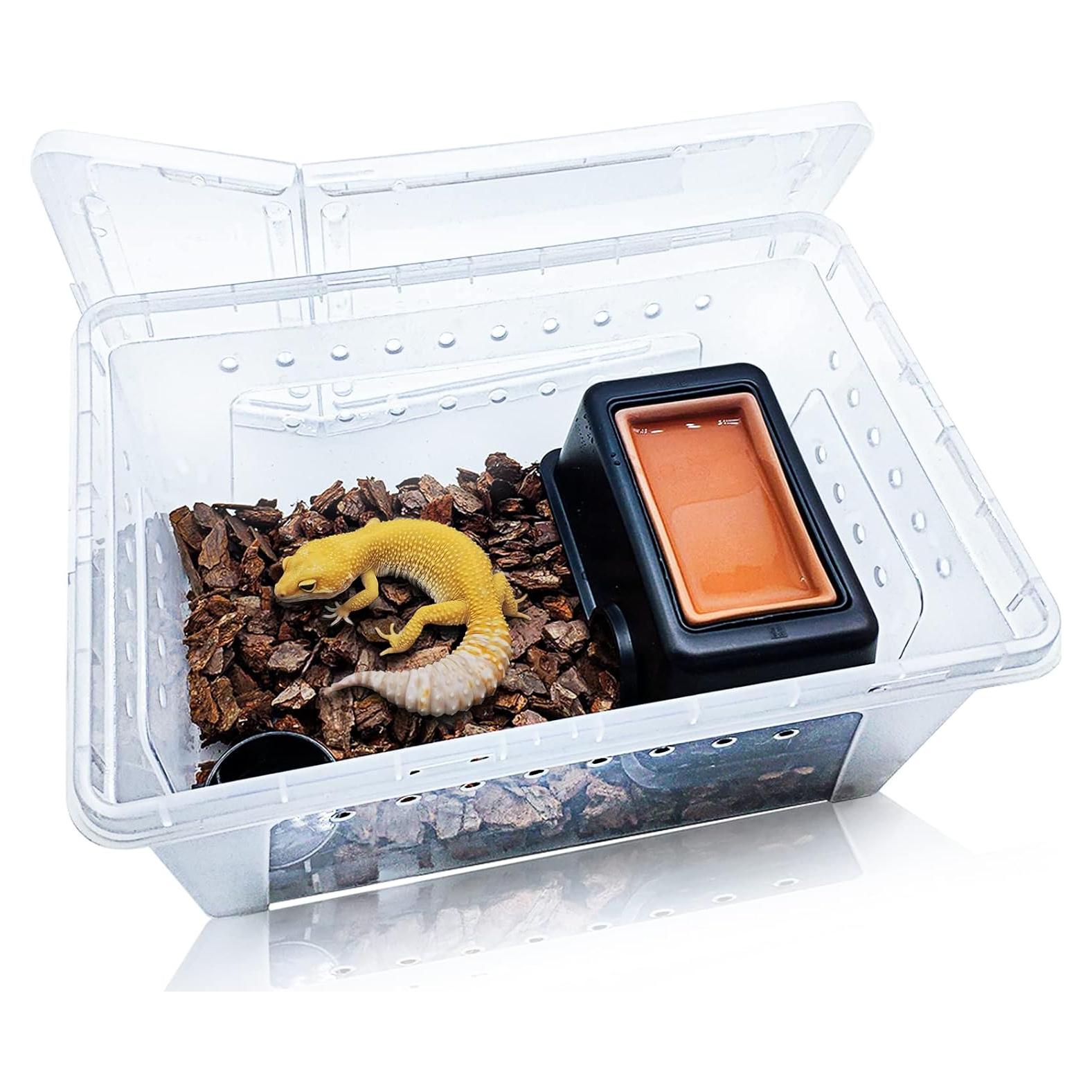 Juego de Caja de Cría de Reptiles Hamiledyi Portátil 26x18cm