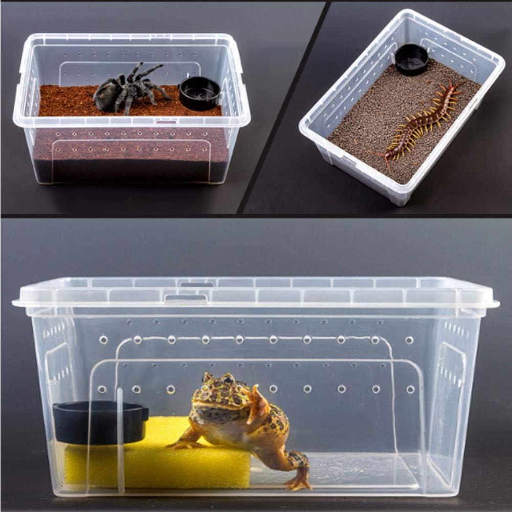 2 PCS Caja de Reptiles Hamiledyi Incubación 32x21.8x15 cm