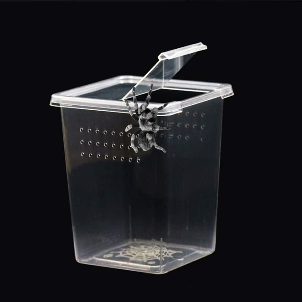 Caja de Terrario Acrílica FKUMLUN para Insectos y Reptiles 3 Pcs