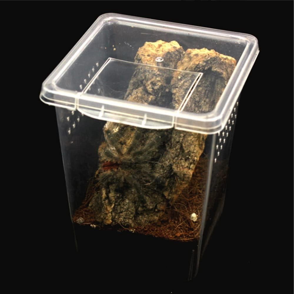 Caja de Terrario Acrílica FKUMLUN para Insectos y Reptiles 3 Pcs