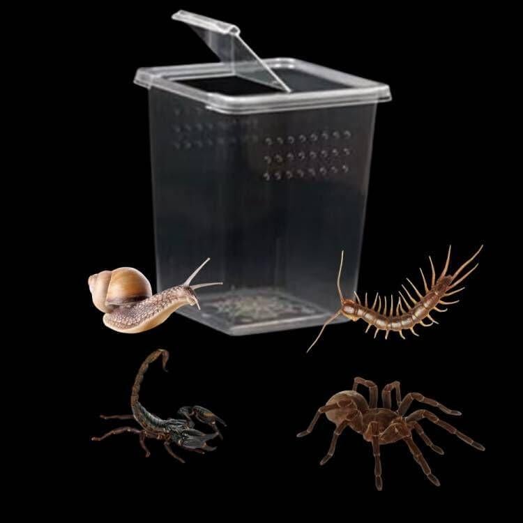 Caja de Terrario Acrílica FKUMLUN para Insectos y Reptiles 3 Pcs