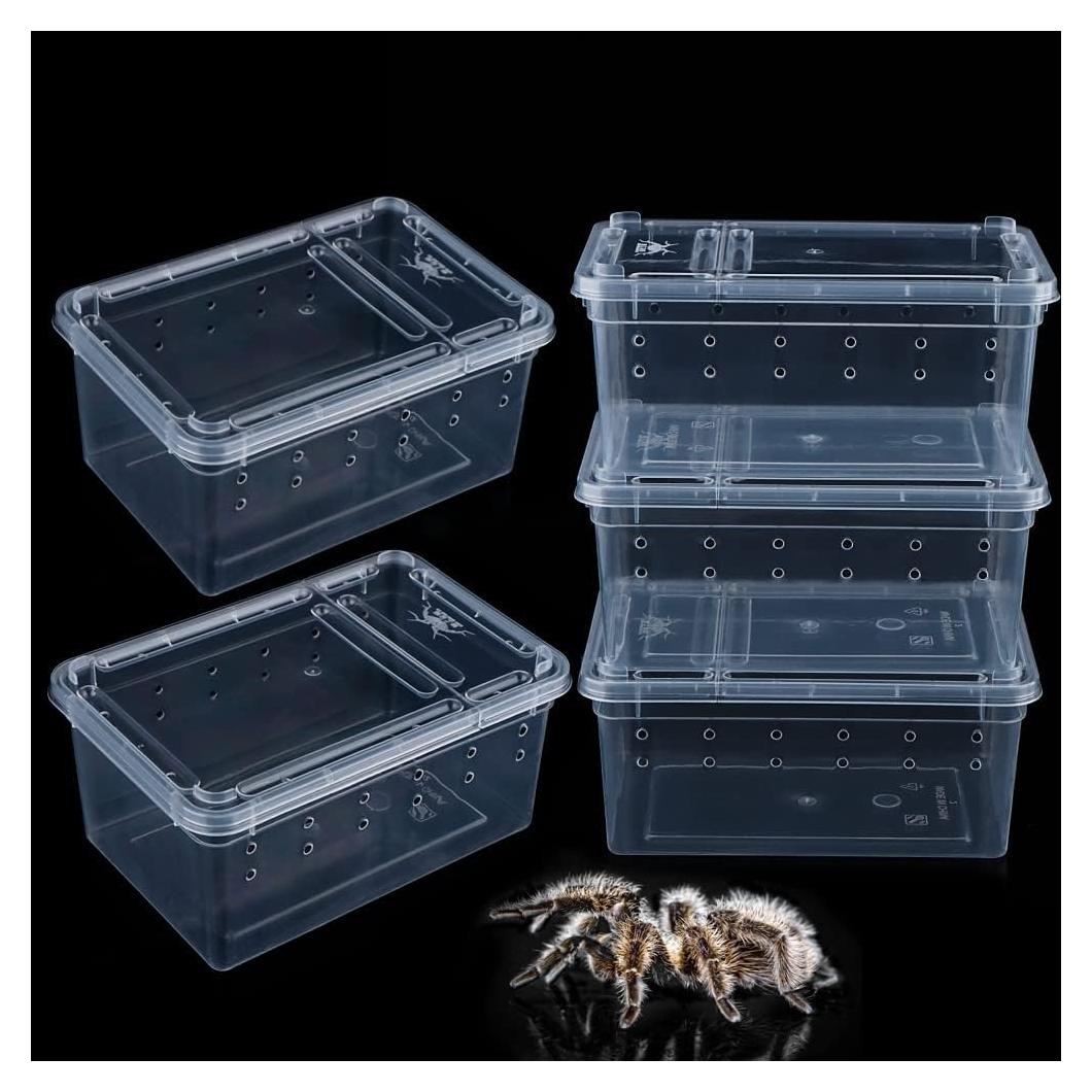 5 Tarros Pequeños para Arañas DQITJ - Contenedor Cría 12.95 cm