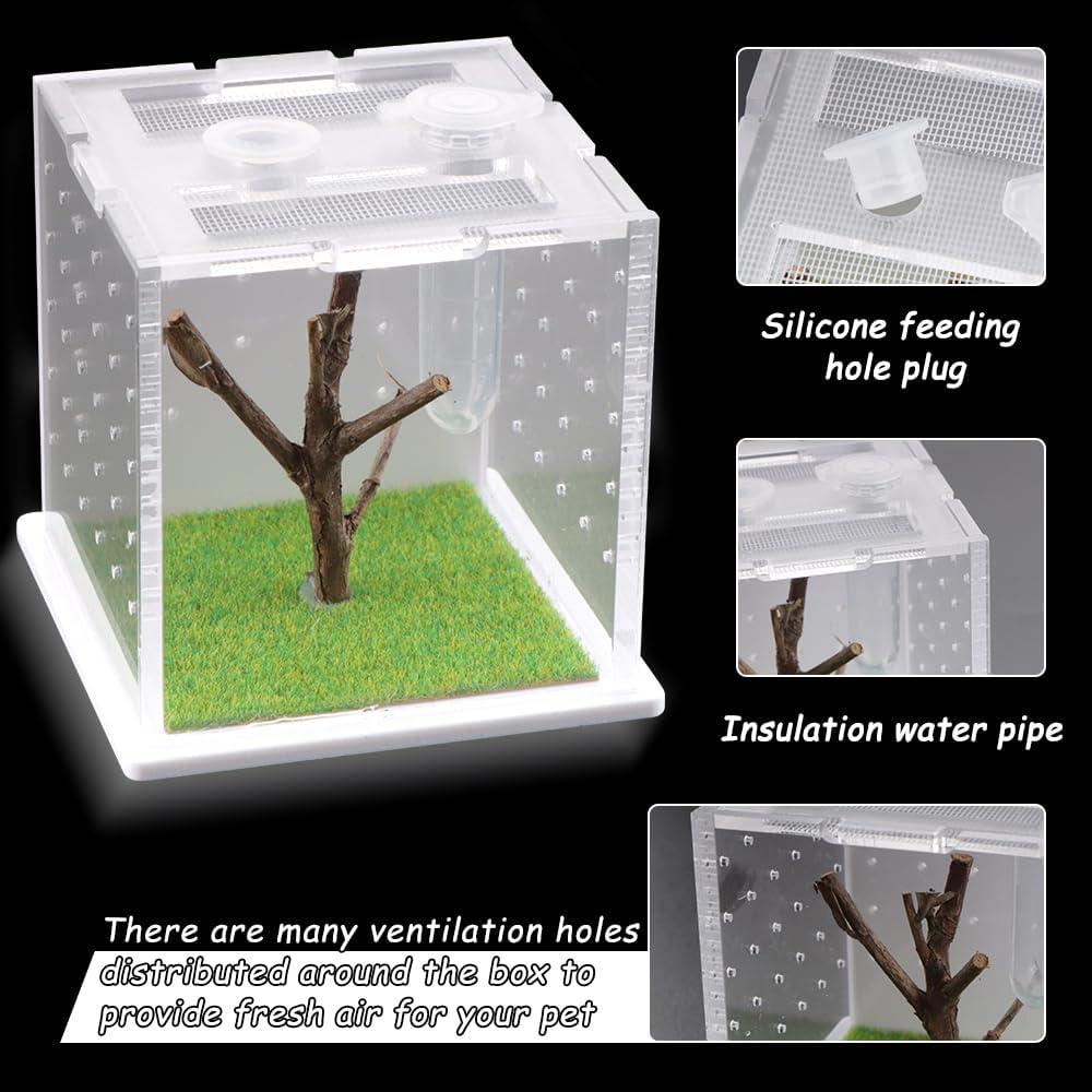 Caja de Cría Acrílica DQITJ para Arañas y Insectos 6x6x6cm