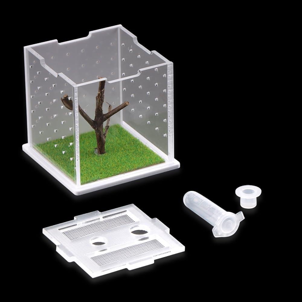 Caja de Cría Acrílica DQITJ para Arañas y Insectos 6x6x6cm