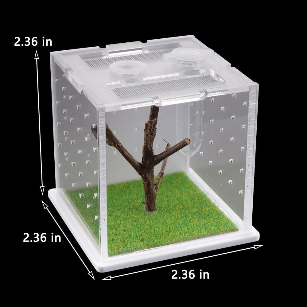 Caja de Cría Acrílica DQITJ para Arañas y Insectos 6x6x6cm