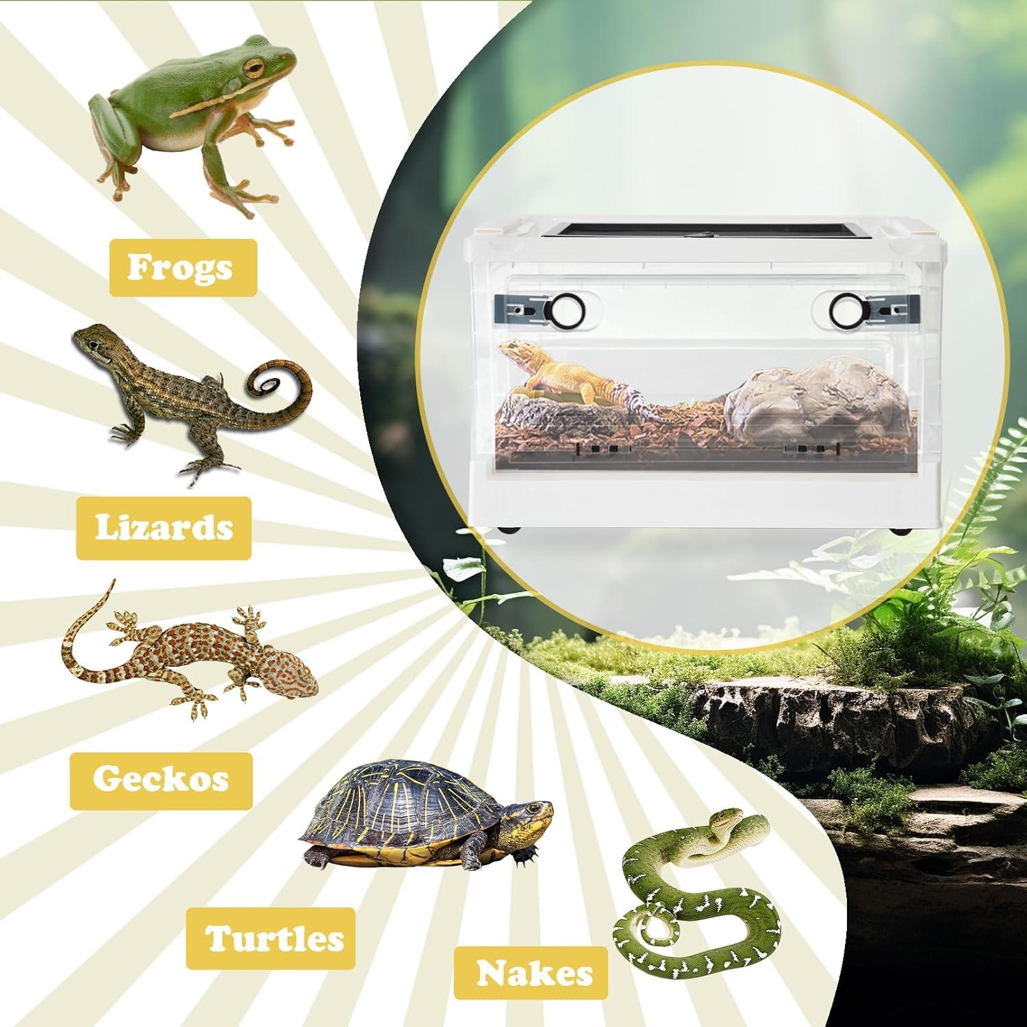 Caja de Alimentación para Reptiles PINVNBY 39.6x29.5x24.1 cm