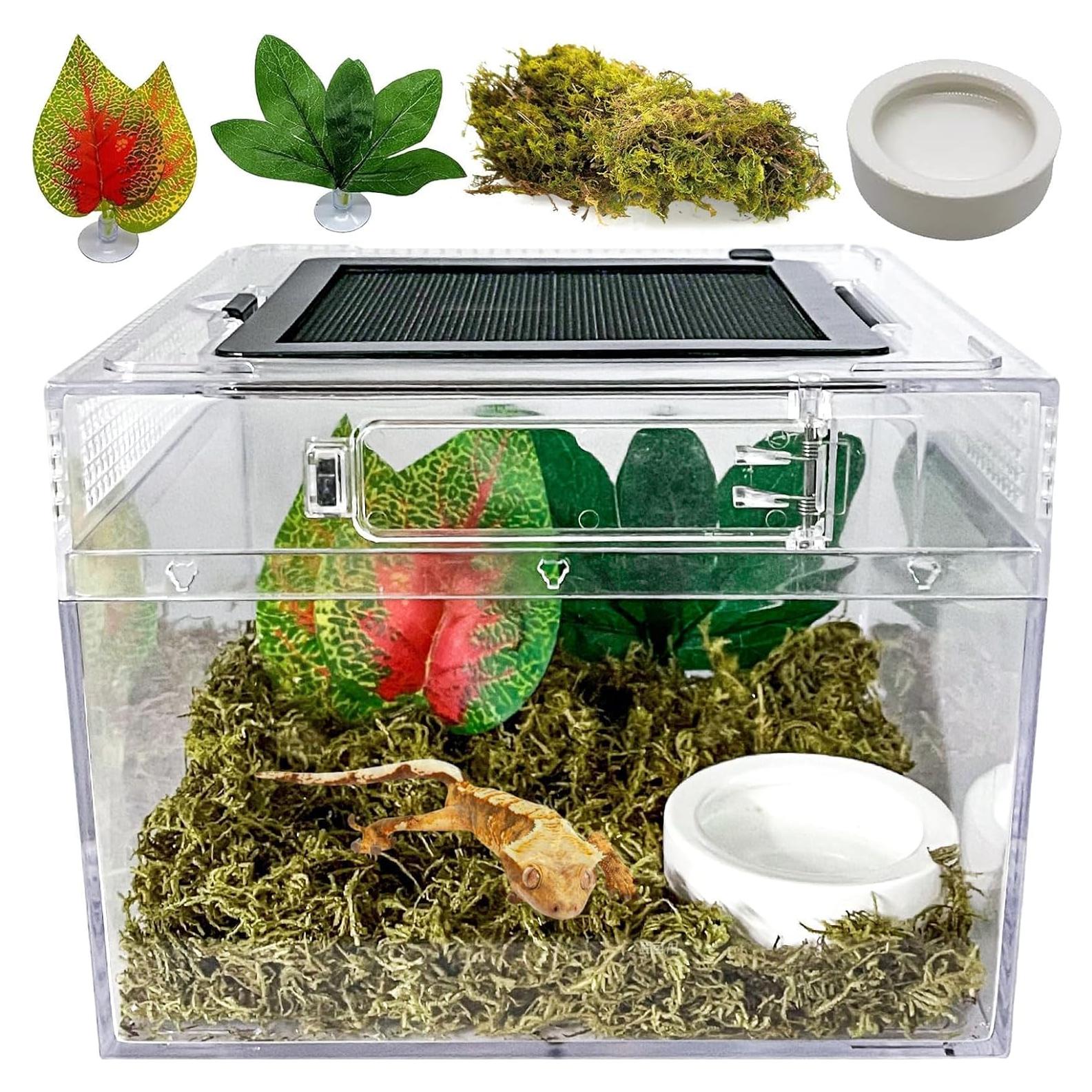 Terrario para reptiles Acsist 20.32x20.32x15.24cm con accesorios