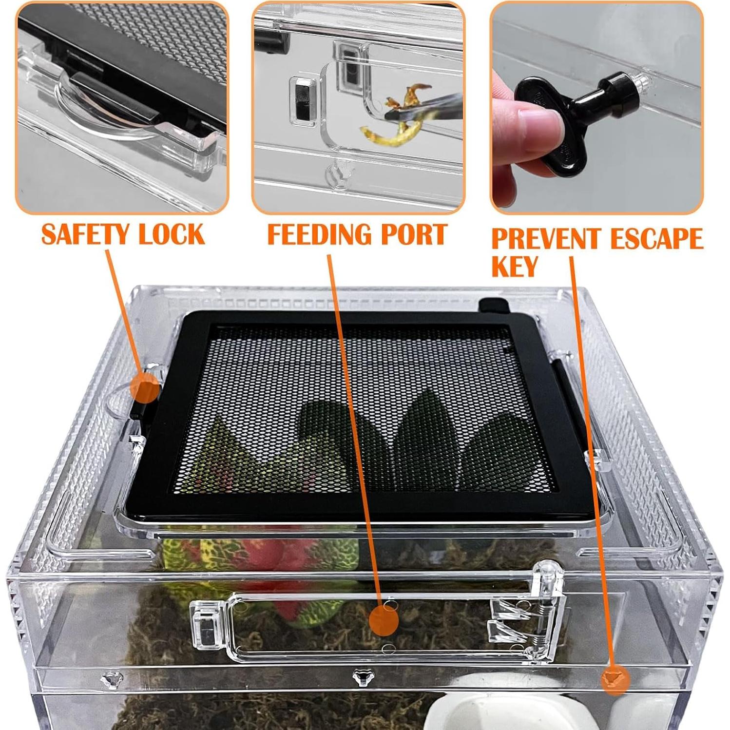 Terrario para reptiles Acsist 20.32x20.32x15.24cm con accesorios