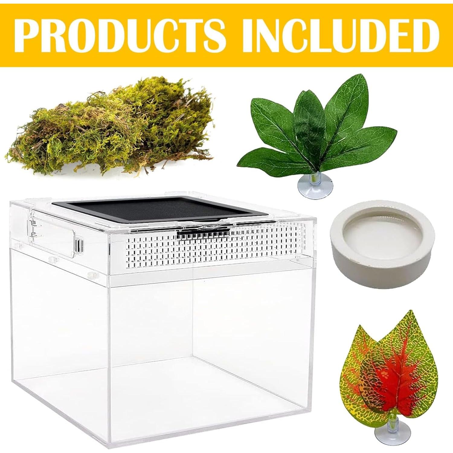 Terrario para reptiles Acsist 20.32x20.32x15.24cm con accesorios