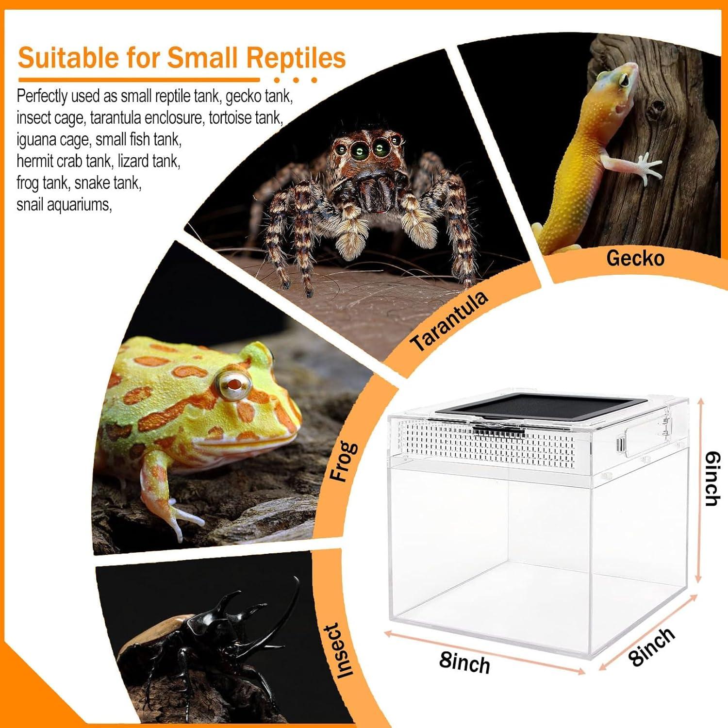 Terrario para reptiles Acsist 20.32x20.32x15.24cm con accesorios