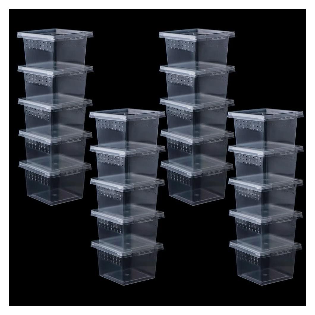 20 Cajas de Cría para Arañas DQITJ 6.5x6.5x4.4cm Acrílico