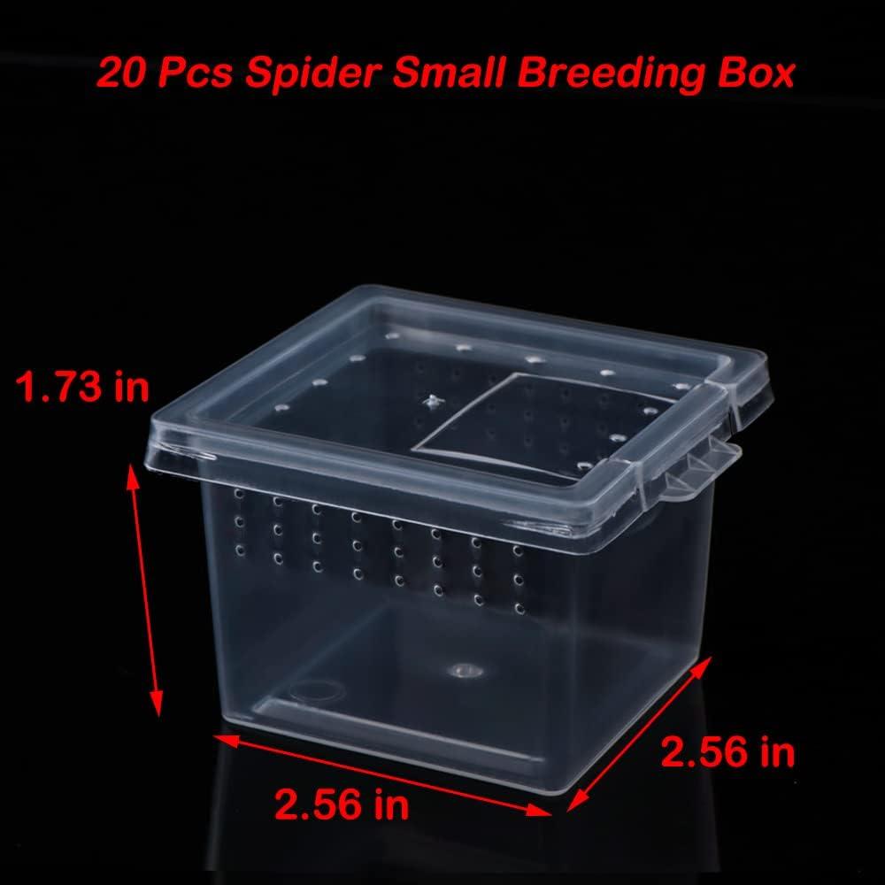 20 Cajas de Cría para Arañas DQITJ 6.5x6.5x4.4cm Acrílico