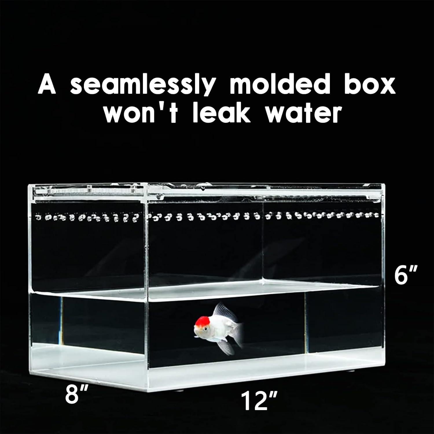 Terrario de Reptiles SANOSY Kit de Inicio 30x20x15 cm