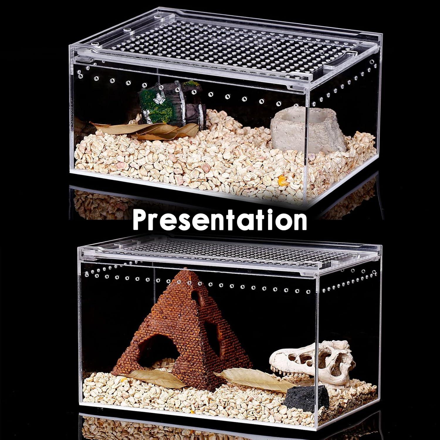 Terrario de Reptiles SANOSY Kit de Inicio 30x20x15 cm