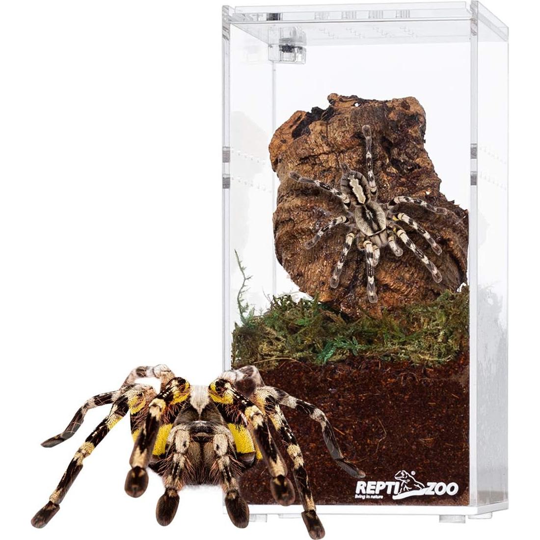 Caja de Cría de Reptiles Acrílica REPTI ZOO 15.24x7.62cm