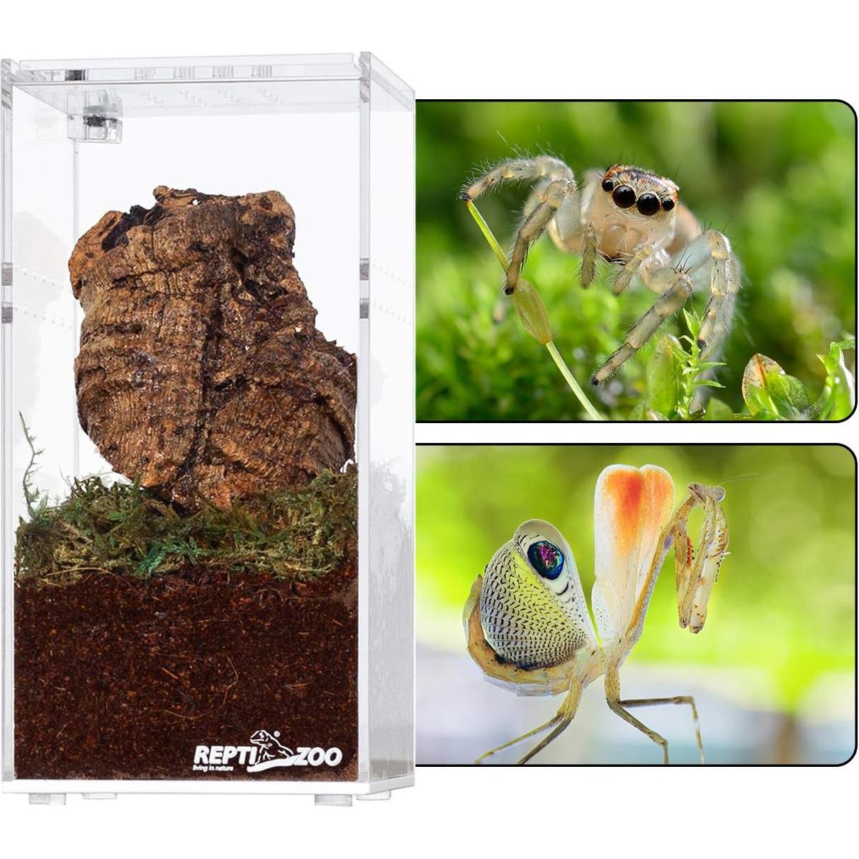 Caja de Cría de Reptiles Acrílica REPTI ZOO 15.24x7.62cm