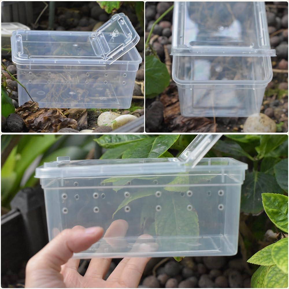 10 Cajas de Alimentación para Reptiles JOBEDE 15x10x6.5cm