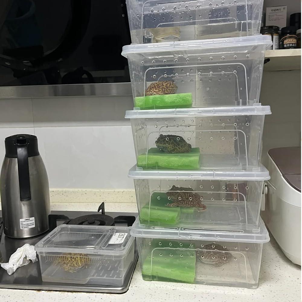 10 Cajas de Alimentación para Reptiles JOBEDE 15x10x6.5cm