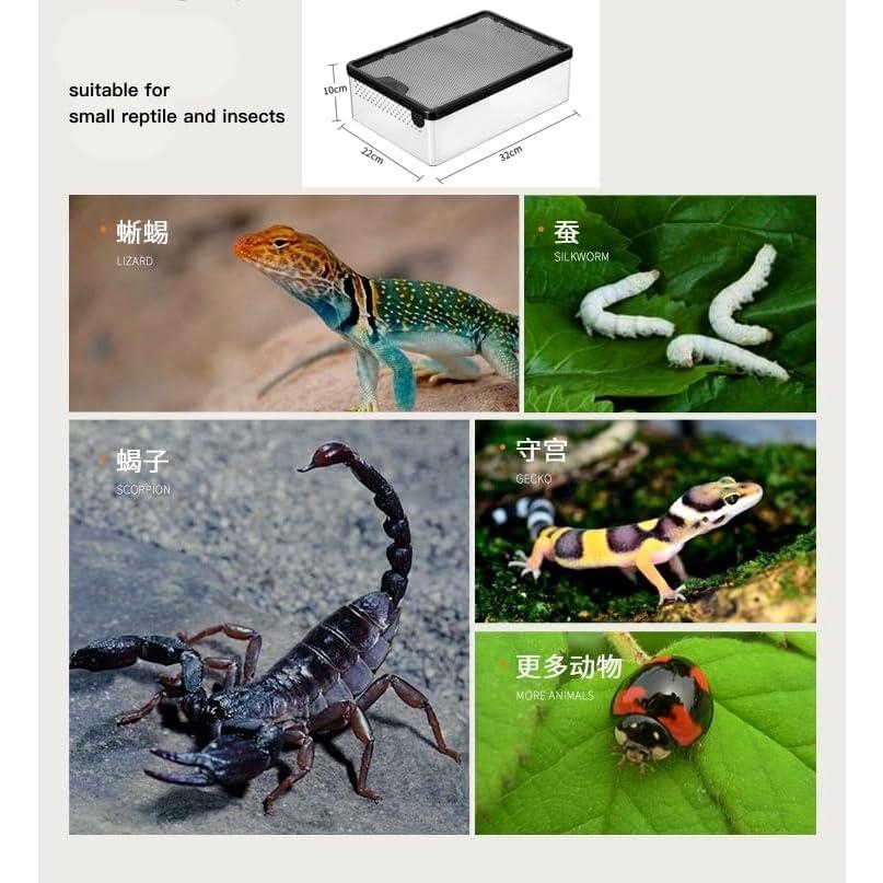 Caja de Alimentación para Reptiles AWXZOM 32x22x10cm