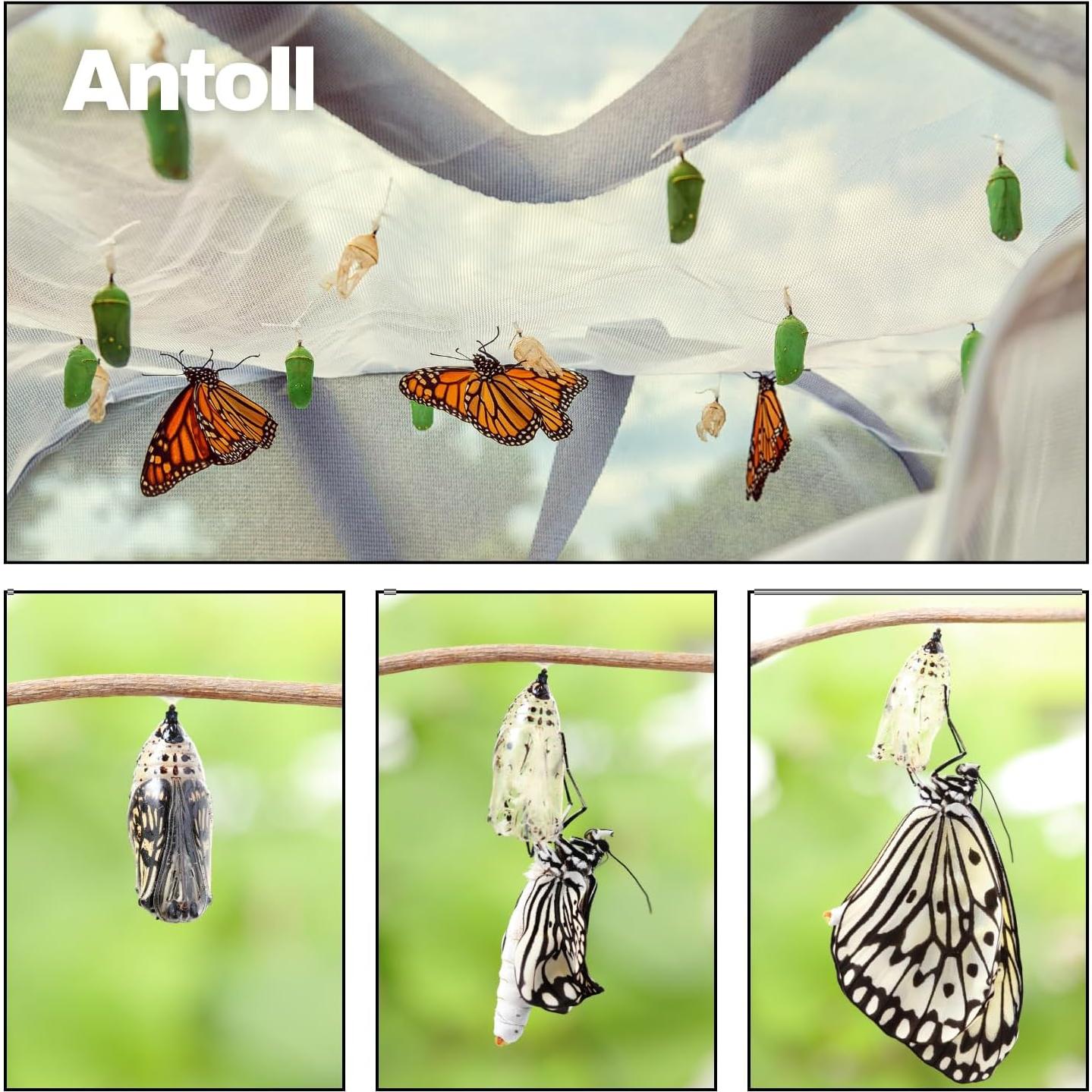 Hábitat de Mariposas Antoll 76.2cm Jaula de Insectos Malla