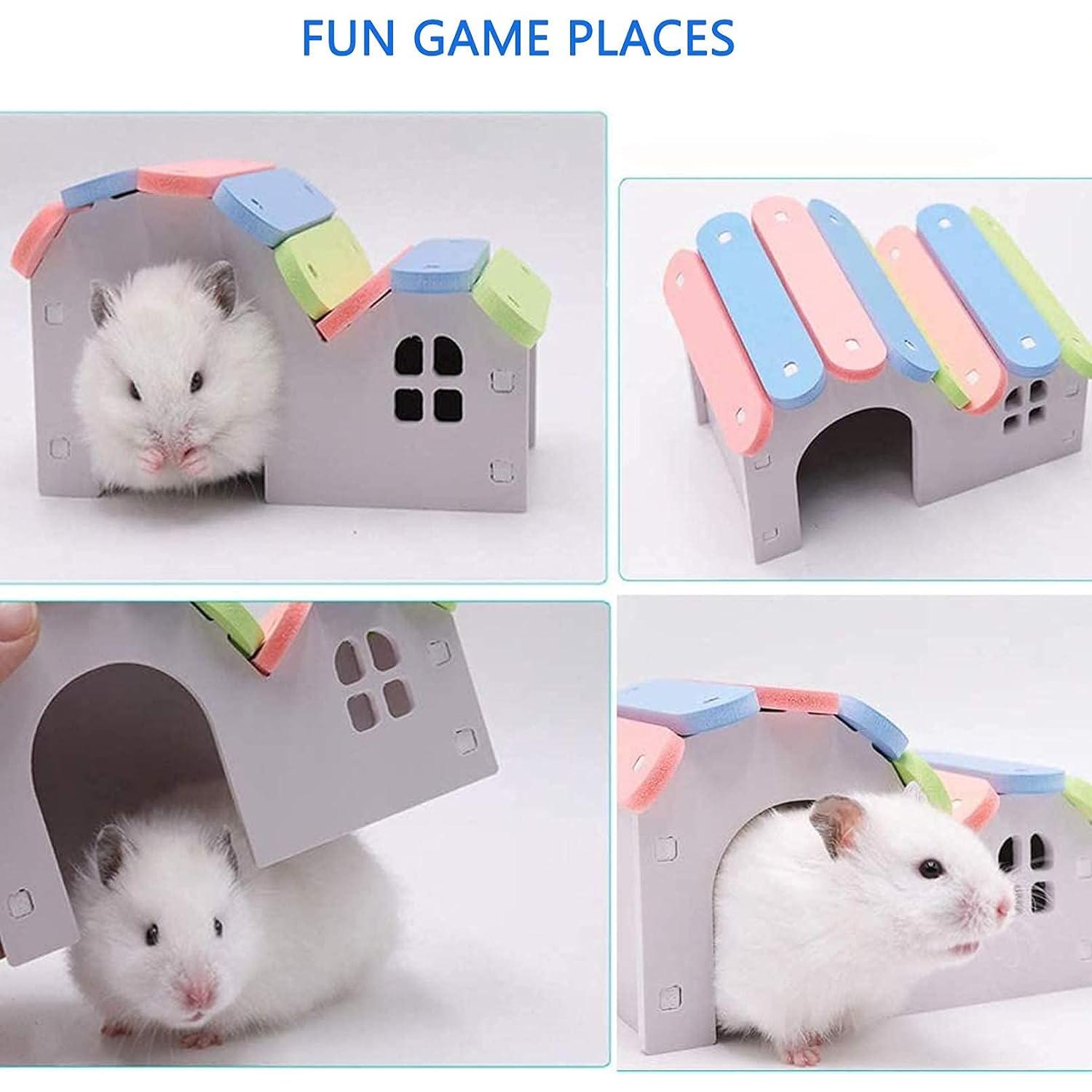 Set de Juguetes para Hámsters Hamiledyi - 10 Piezas con Rueda Silenciosa y Casa Arcoíris